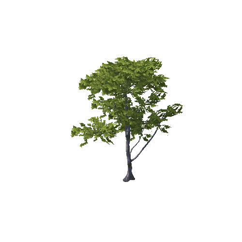 Tree9_4