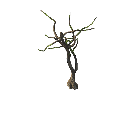 Tree10_1