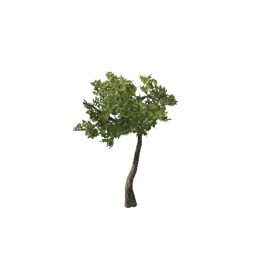 Tree10_3