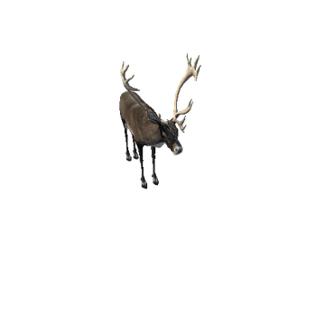 CaribouLowPoly