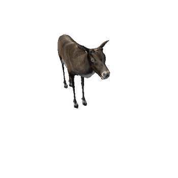 CaribouModelNoAntlerLowPoly