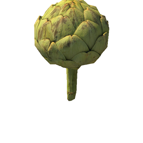 Artichoke_03