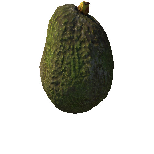 Avocado_03