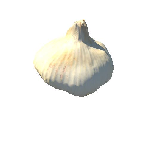 Garlic_01