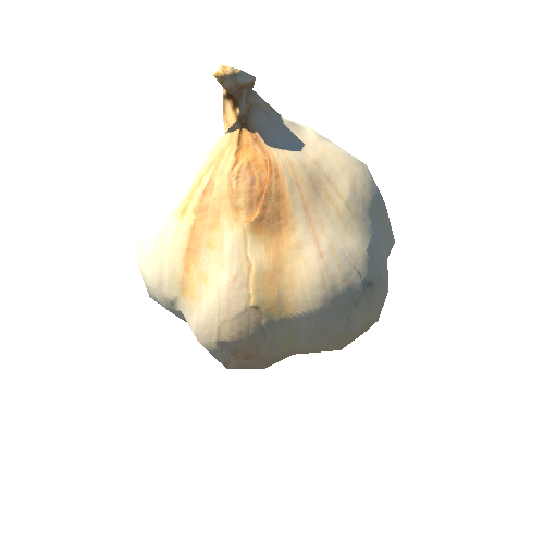 Garlic_03