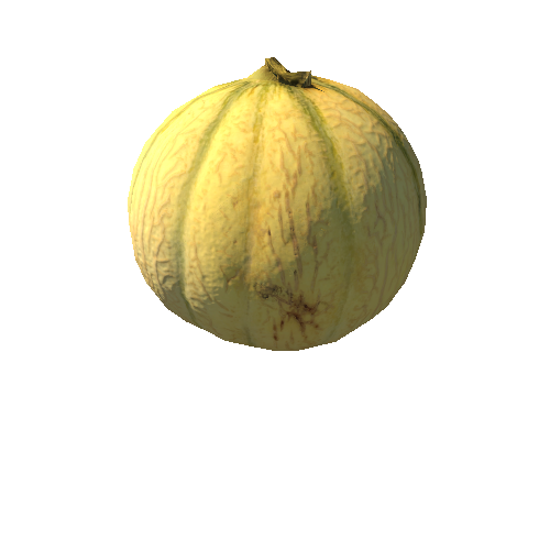 Melon_03