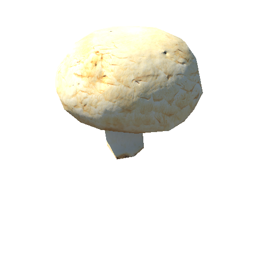 Paris_mushroom_02