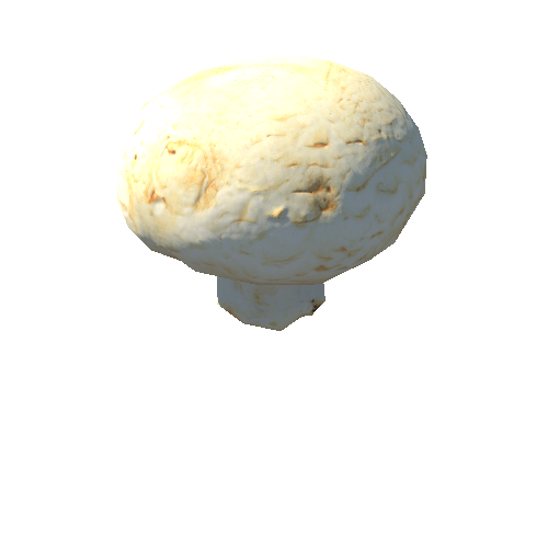 Paris_mushroom_03