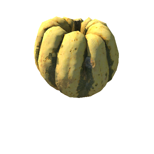 Squash_01