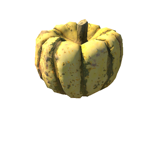 Squash_02