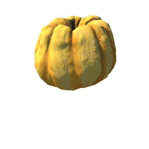 Squash_03