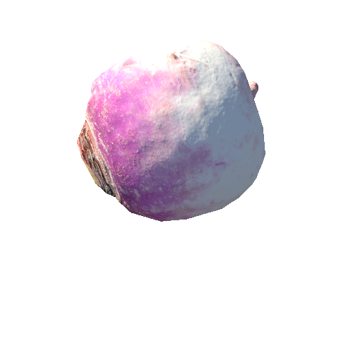 Turnip_03