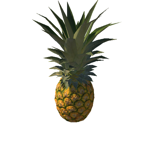 pineapple_02