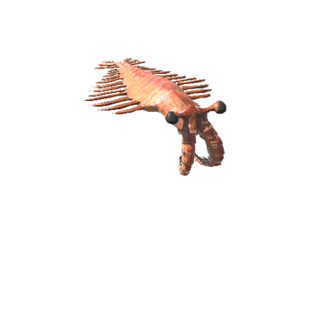 AnomalocarisModel