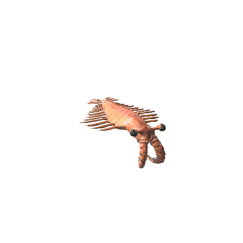 AnomalocarisModel