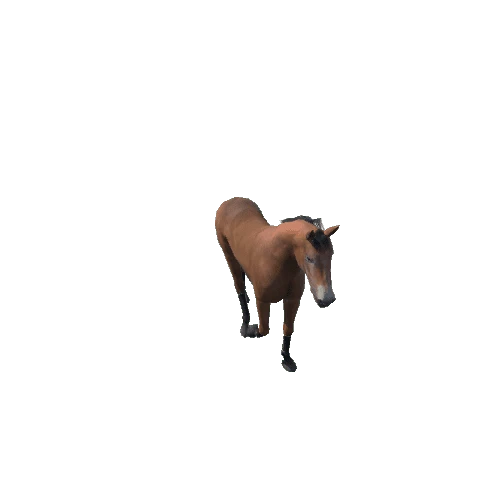 Horse_nu_PBR