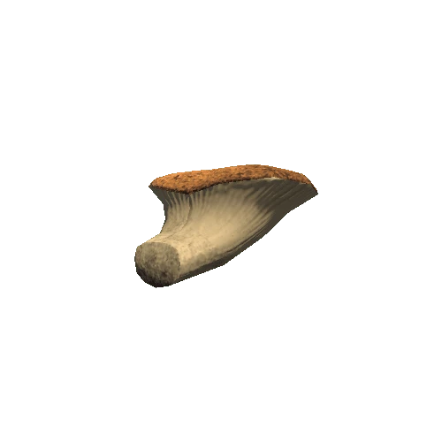 TreeFungus_CapConvex_Type01_LOD