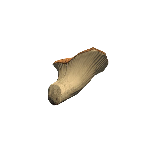 TreeFungus_CapConvex_Type03_LOD