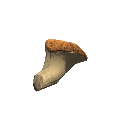 TreeFungus_CapConvex_Type04_LOD