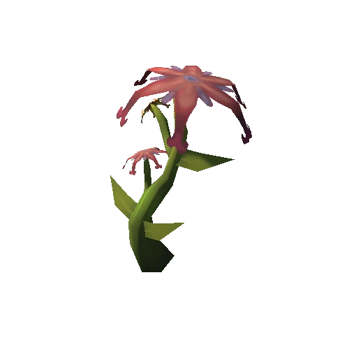 Plant_05