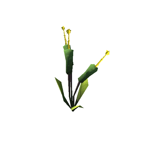 Plant_07