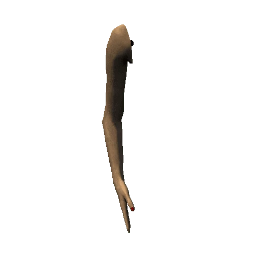 mannequin_arm_left_a