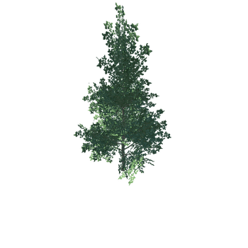 tree1A