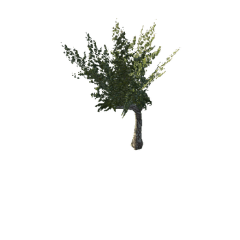 tree1D