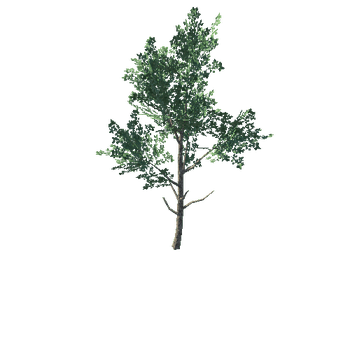 tree2A