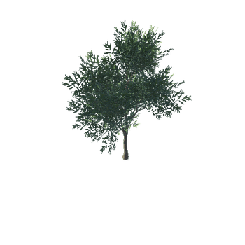 treeH1