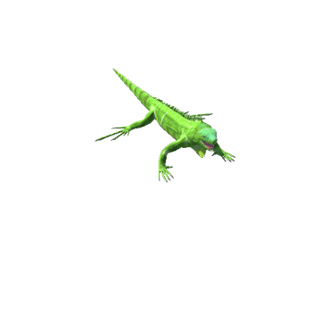 IguanaTwoLODs