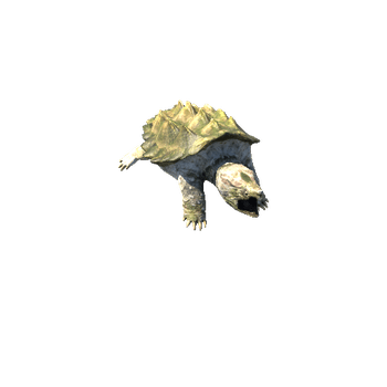 AlligatorAnappingTurtleMossTwoLODs