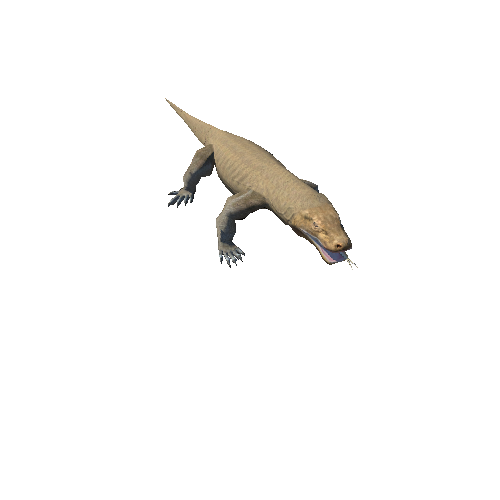 KomododragonModel