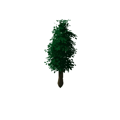 Tree_0b_02