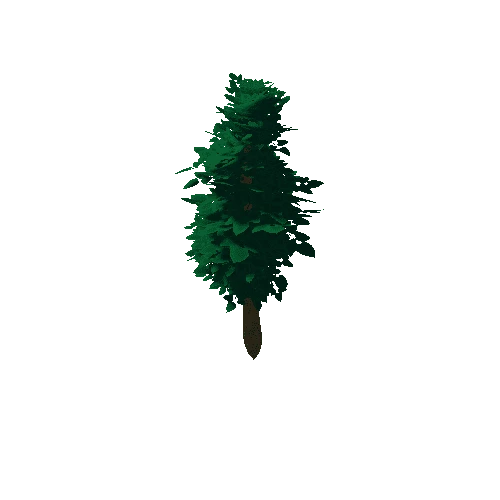 Tree_0c_07