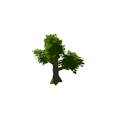 Tree_0d_01