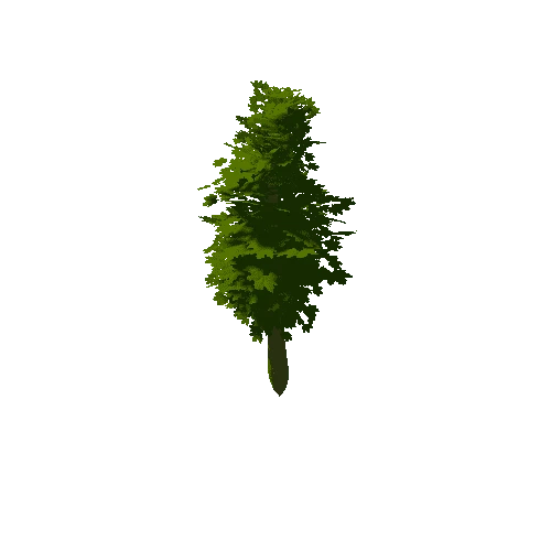 Tree_0d_07