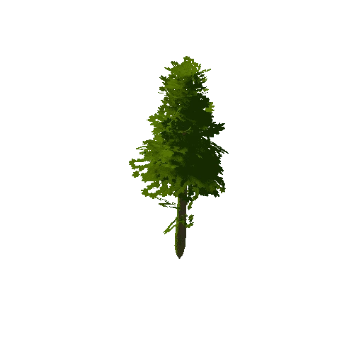 Tree_0d_09