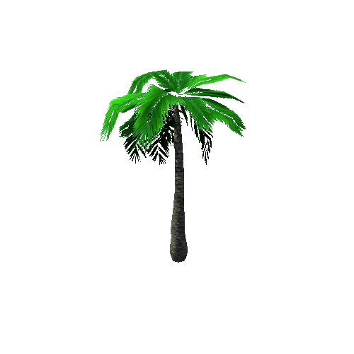 Tree_3_Palm_00