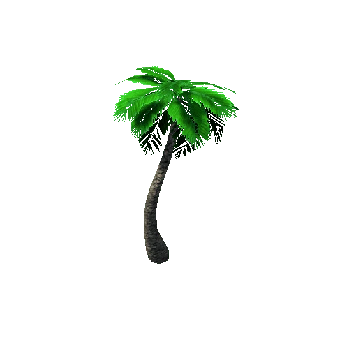 Tree_3_Palm_01