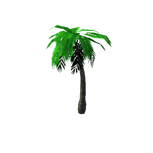 Tree_3_Palm_02