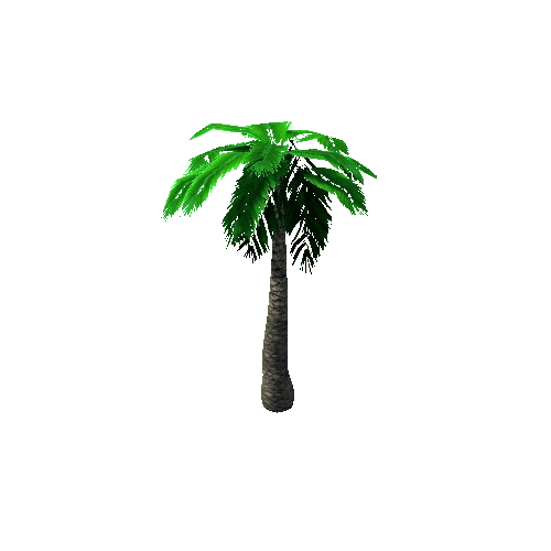 Tree_3_Palm_03