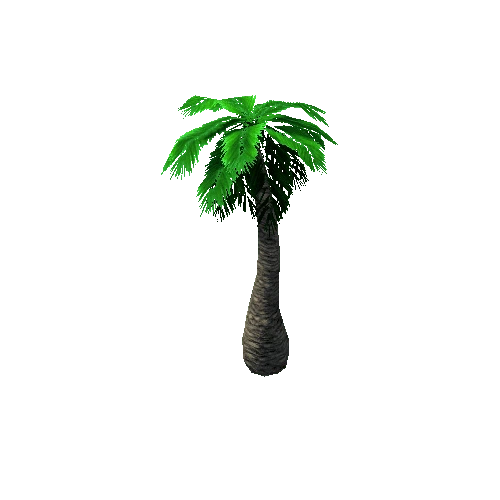 Tree_3_Palm_04