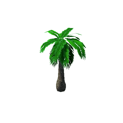 Tree_3_Palm_05