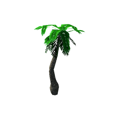 Tree_3_Palm_06