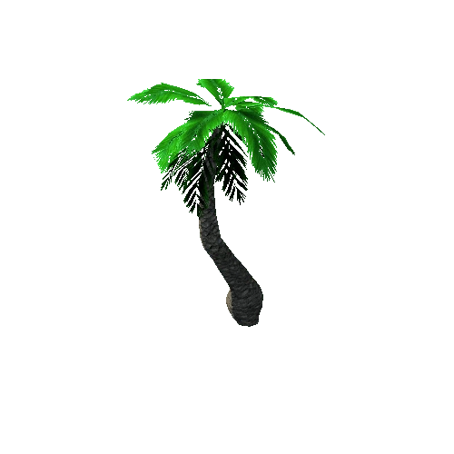 Tree_3_Palm_07