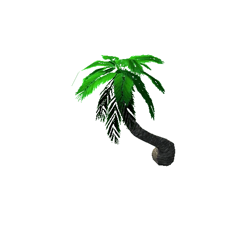 Tree_3_Palm_08