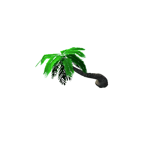 Tree_3_Palm_09