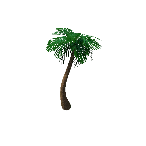 Tree_3a_Palm_01