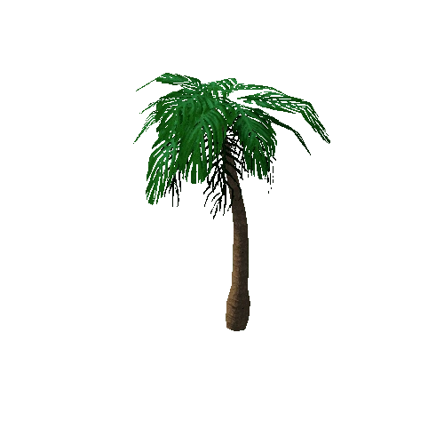 Tree_3a_Palm_02